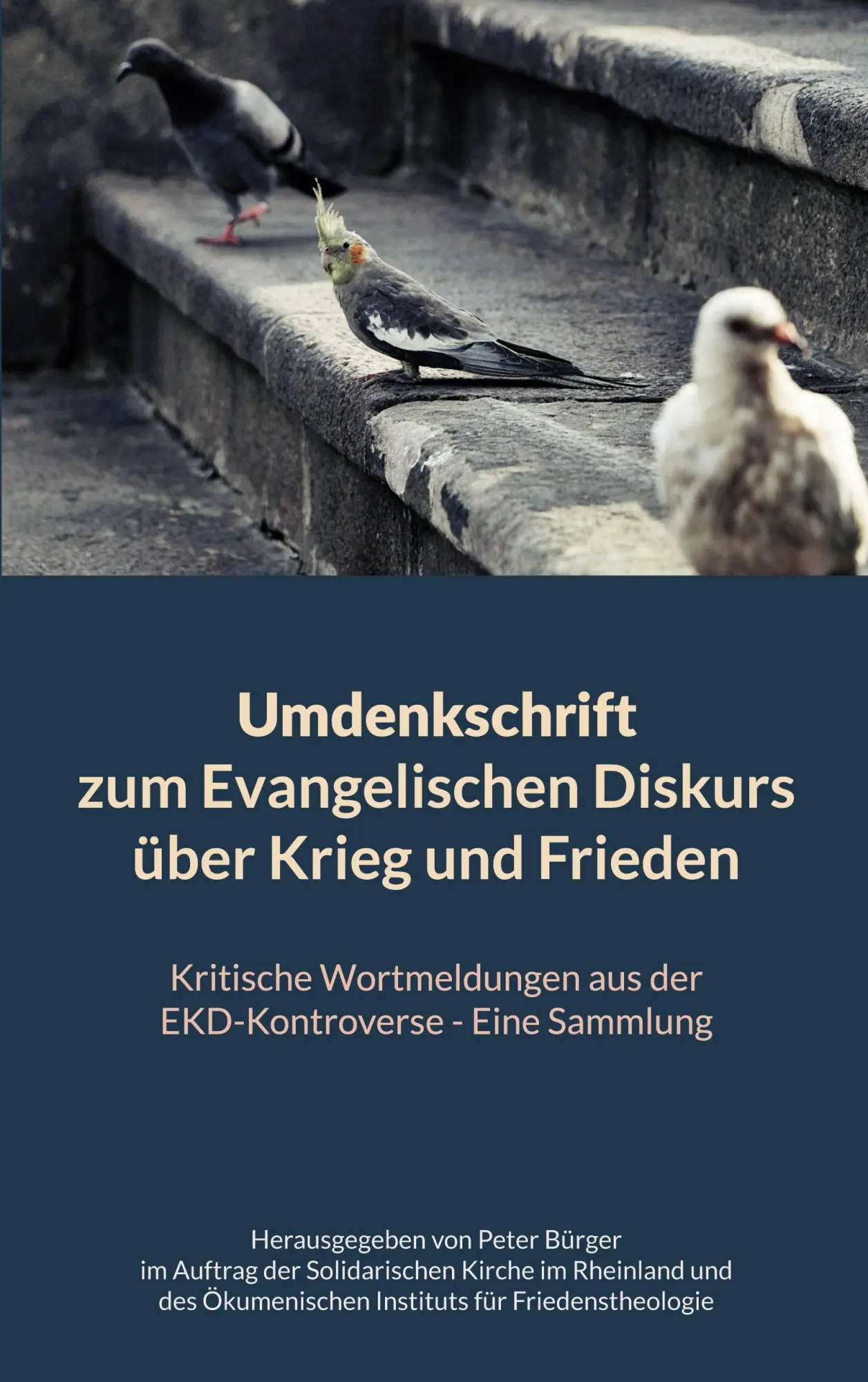 Cover: 9783695743476 | Umdenkschrift zum Evangelischen Diskurs über Krieg und Frieden | Buch