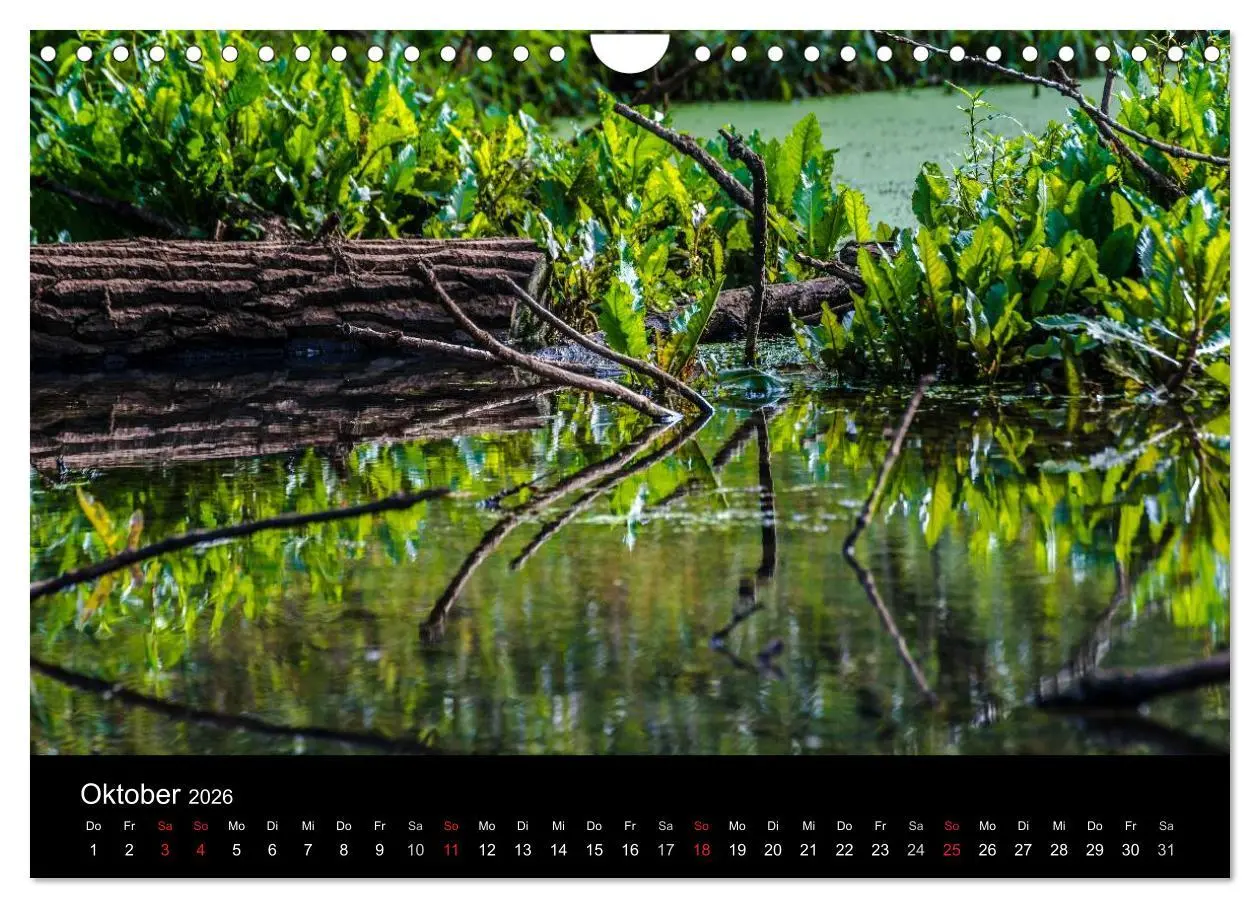 Bild: 9783457993576 | Urdenbach / Odebach (Wandkalender 2026 DIN A4 quer), CALVENDO...
