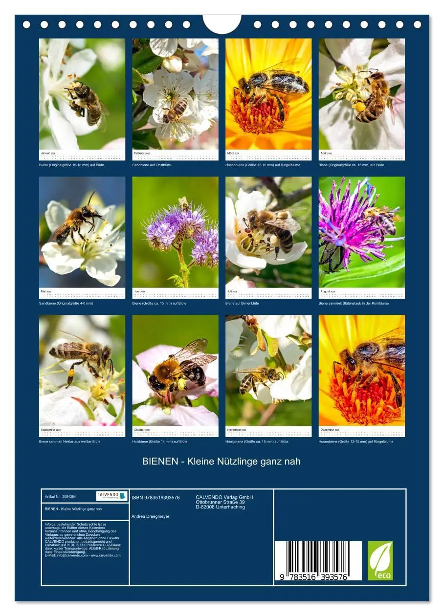 Bild: 9783516393576 | BIENEN - Kleine Nützlinge ganz nah (Wandkalender 2026 DIN A4 hoch),...