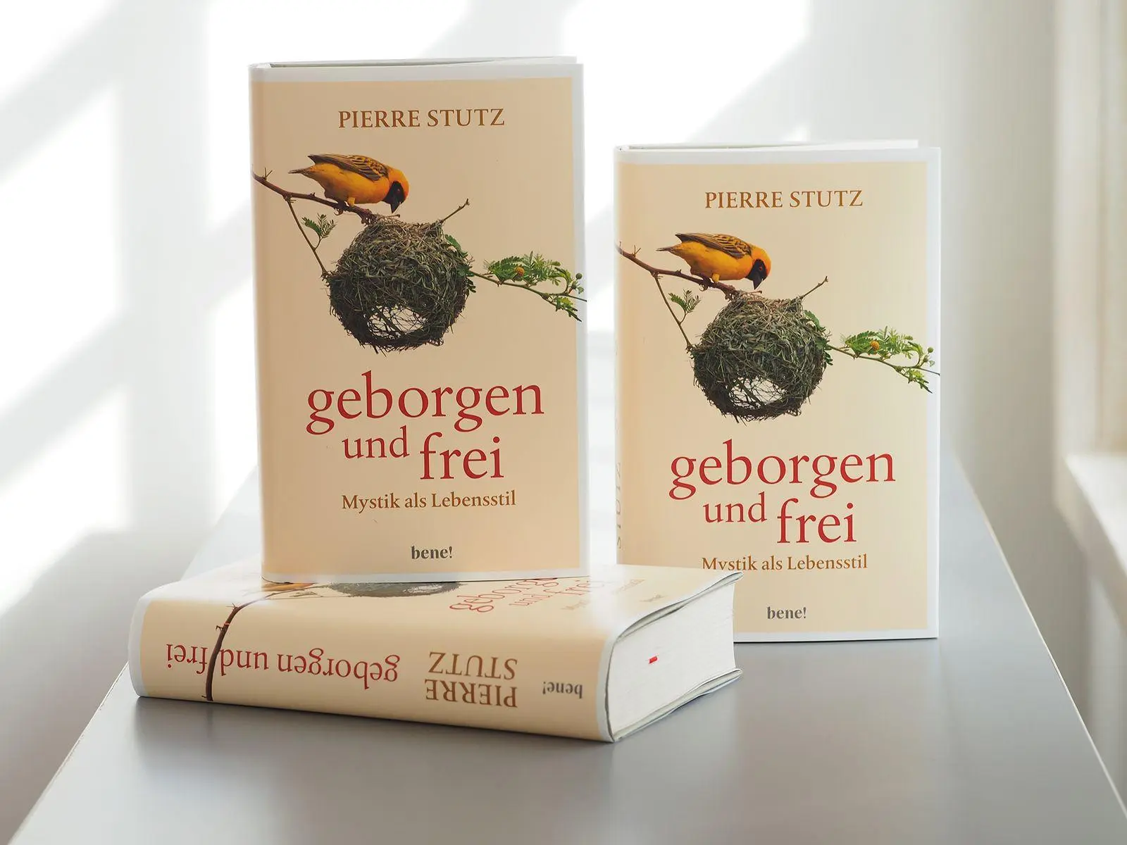 Bild: 9783963403576 | Geborgen und frei | Mystik als Lebensstil | Pierre Stutz | Buch | 2026