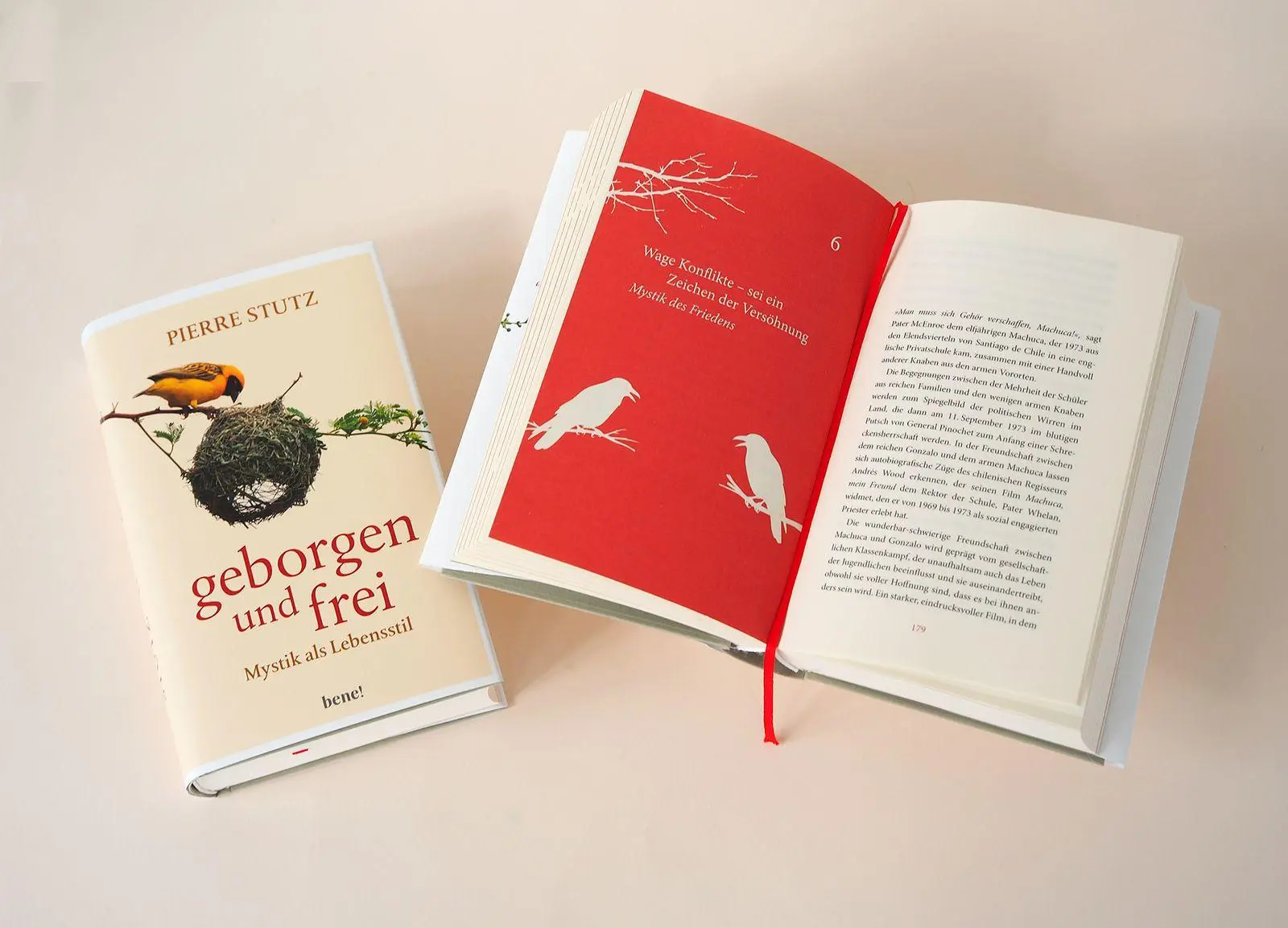 Bild: 9783963403576 | Geborgen und frei | Mystik als Lebensstil | Pierre Stutz | Buch | 2026
