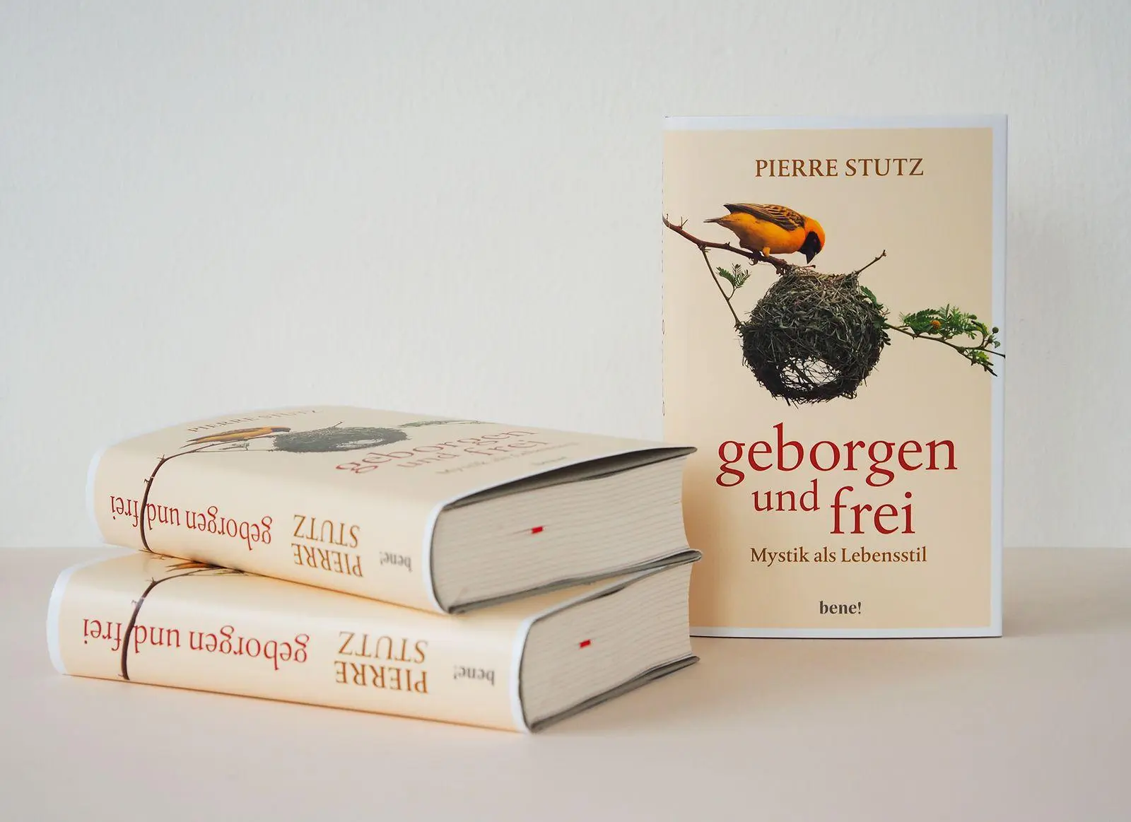 Bild: 9783963403576 | Geborgen und frei | Mystik als Lebensstil | Pierre Stutz | Buch | 2026