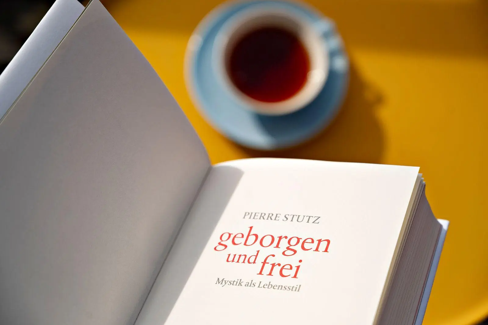 Bild: 9783963403576 | Geborgen und frei | Mystik als Lebensstil | Pierre Stutz | Buch | 2026