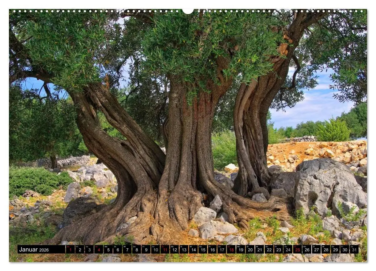 Bild: 9783516143676 | Kvarner Golf - Kroatien (hochwertiger Premium Wandkalender 2026 DIN...