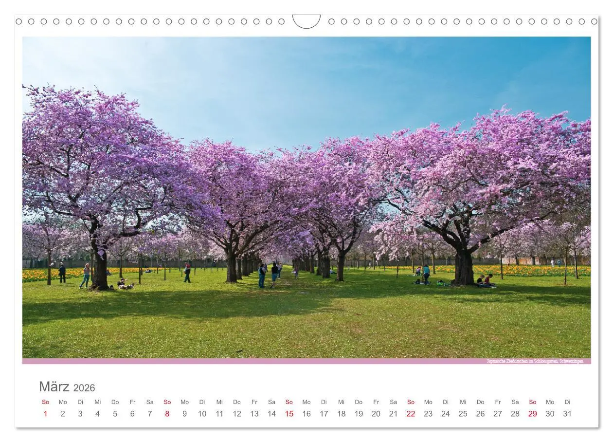 Bild: 9783516213676 | Der Neckar - Unterwegs in Deutschland (Wandkalender 2026 DIN A3...