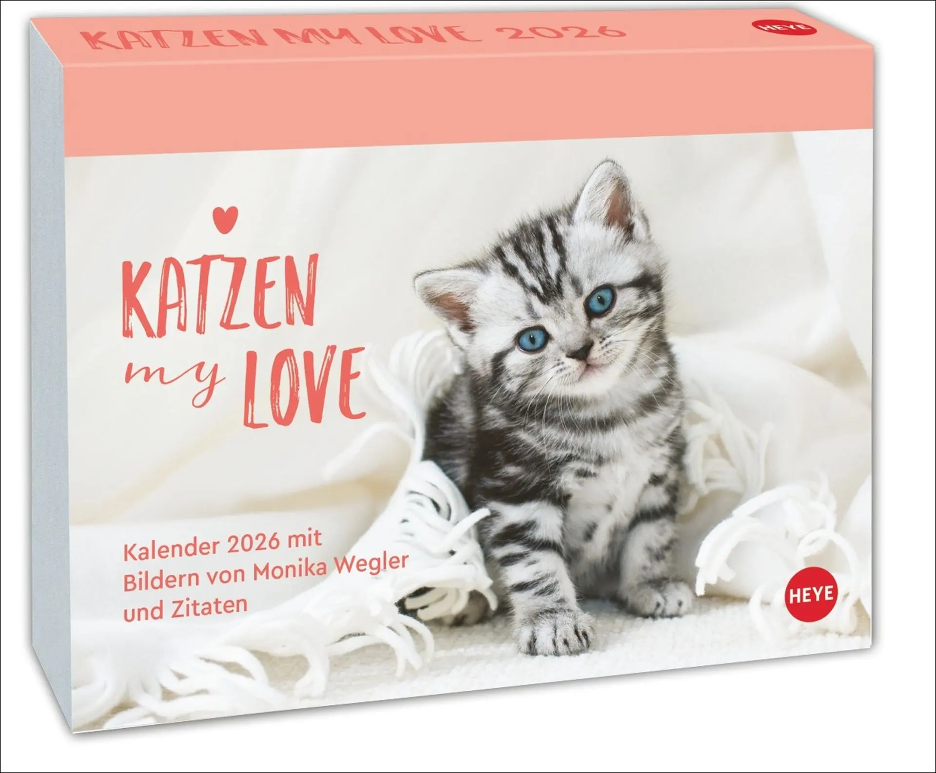 Cover: 9783756413676 | Katzen my love Tagesabreißkalender 2026 | Monika Wegler | Kalender