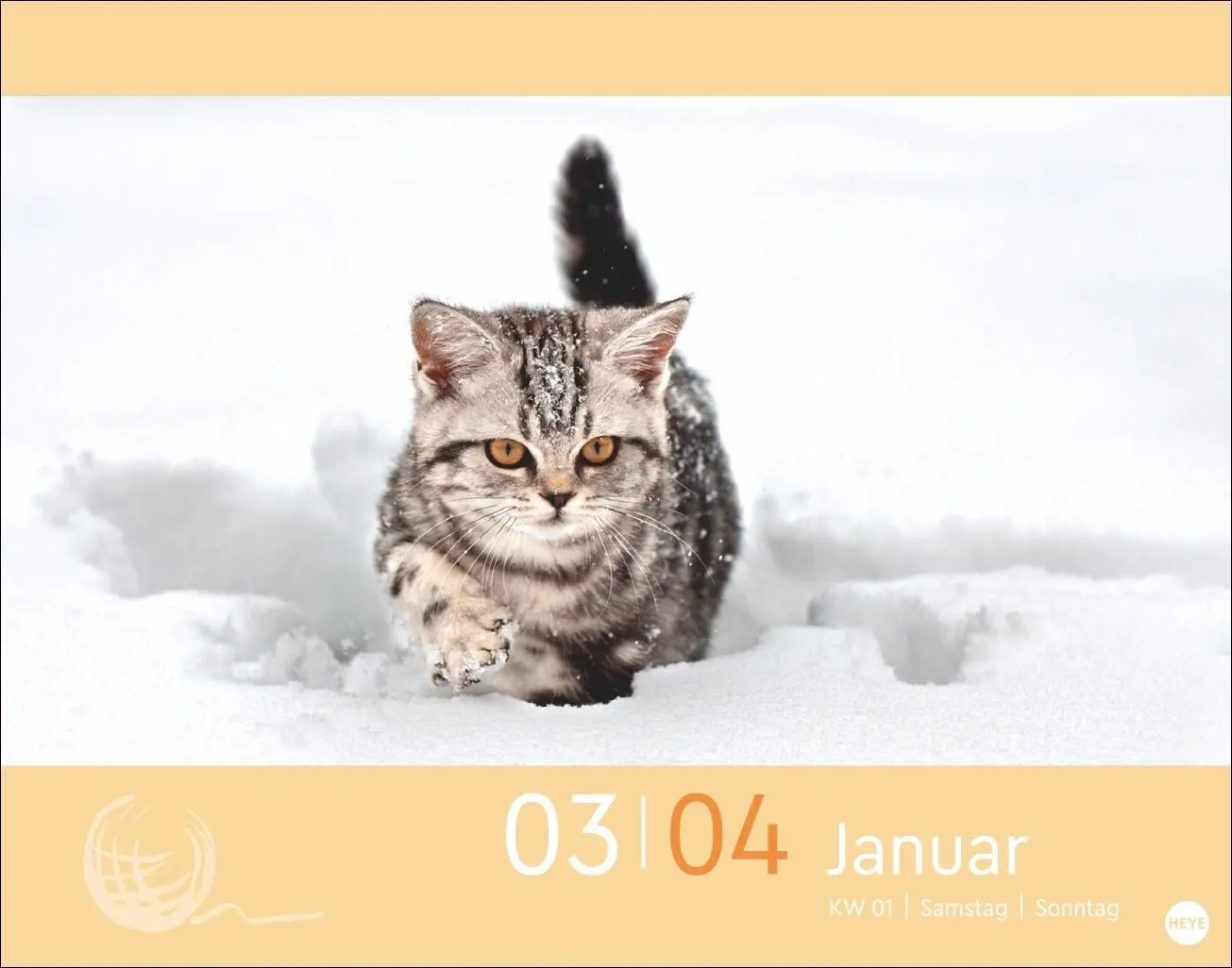 Bild: 9783756413676 | Katzen my love Tagesabreißkalender 2026 | Monika Wegler | Kalender