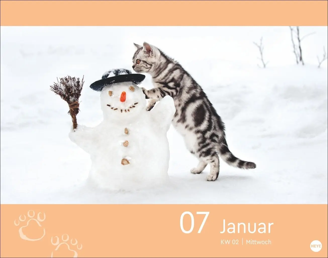 Bild: 9783756413676 | Katzen my love Tagesabreißkalender 2026 | Monika Wegler | Kalender