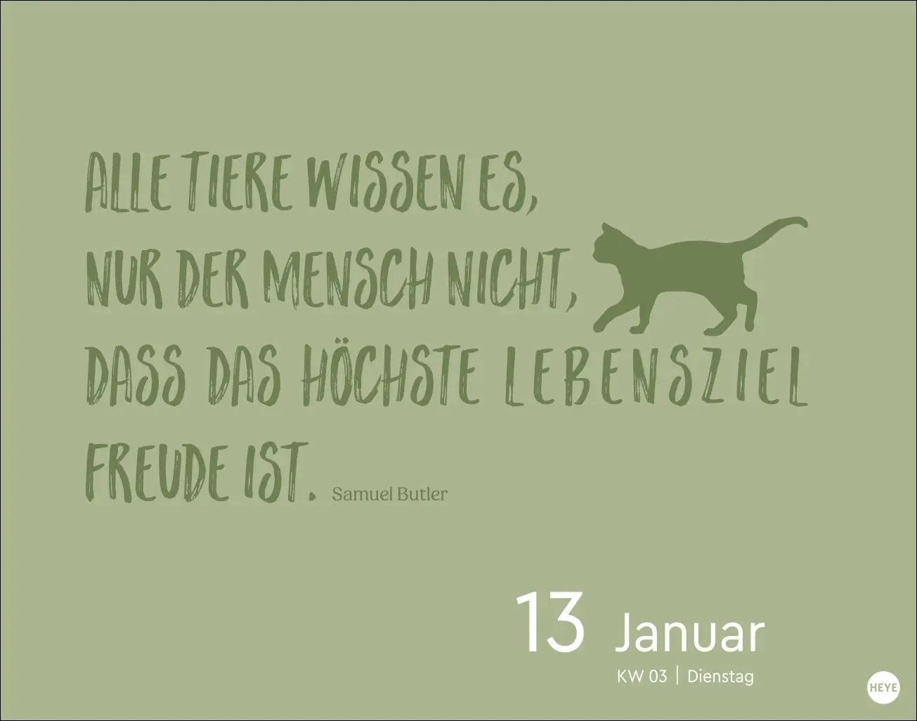 Bild: 9783756413676 | Katzen my love Tagesabreißkalender 2026 | Monika Wegler | Kalender