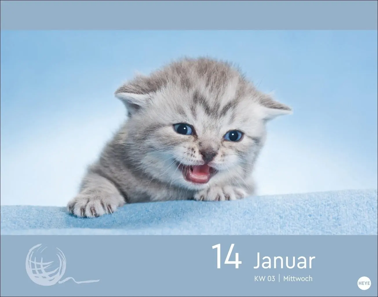 Bild: 9783756413676 | Katzen my love Tagesabreißkalender 2026 | Monika Wegler | Kalender