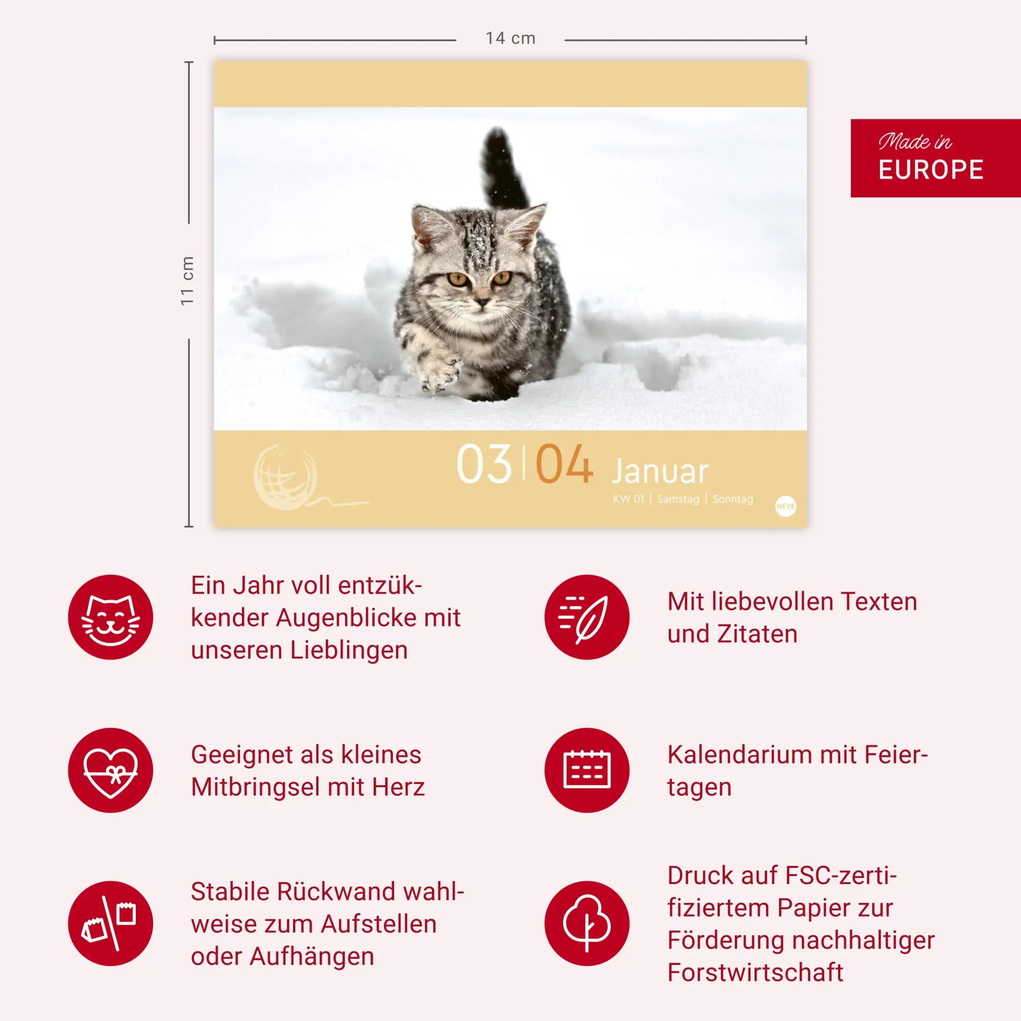 Bild: 9783756413676 | Katzen my love Tagesabreißkalender 2026 | Monika Wegler | Kalender