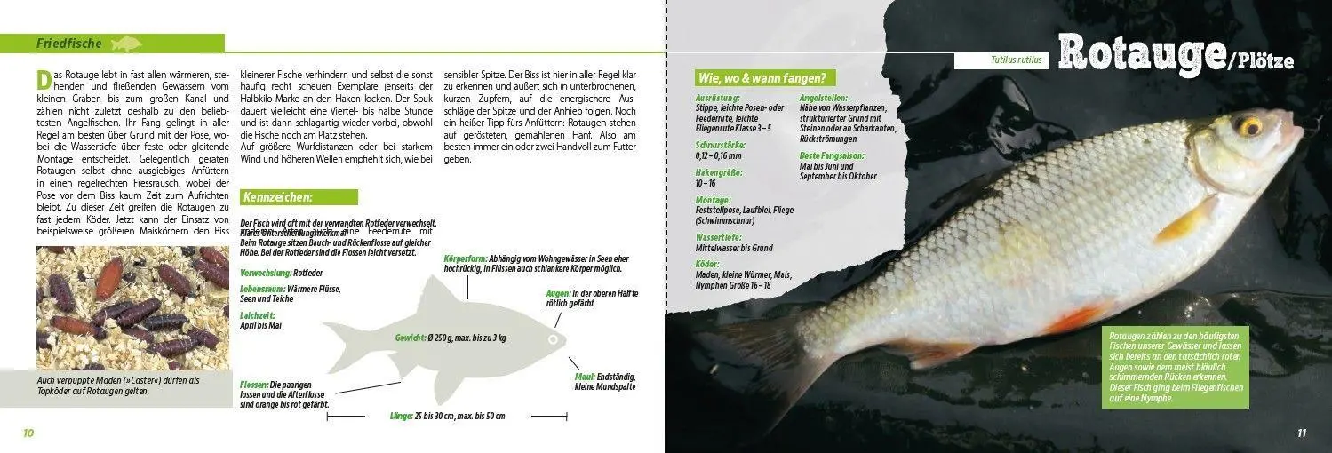 Bild: 9783275023776 | Angler-Lexikon der Süßwasserfische | Frank Weissert | Taschenbuch