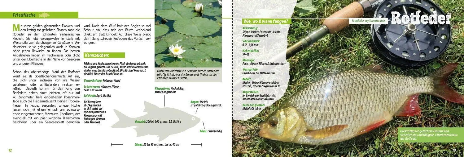 Bild: 9783275023776 | Angler-Lexikon der Süßwasserfische | Frank Weissert | Taschenbuch