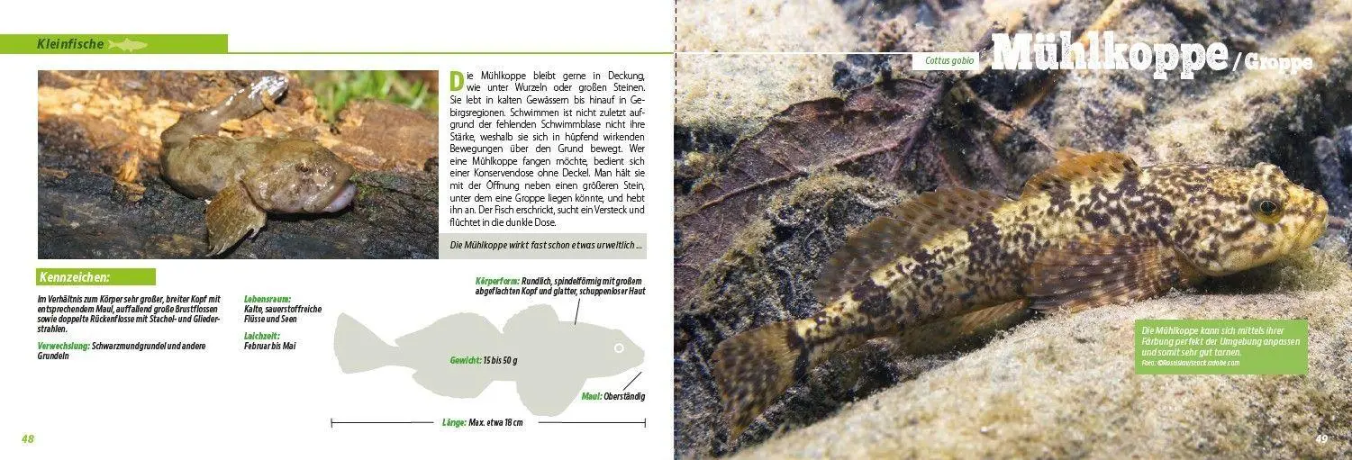 Bild: 9783275023776 | Angler-Lexikon der Süßwasserfische | Frank Weissert | Taschenbuch