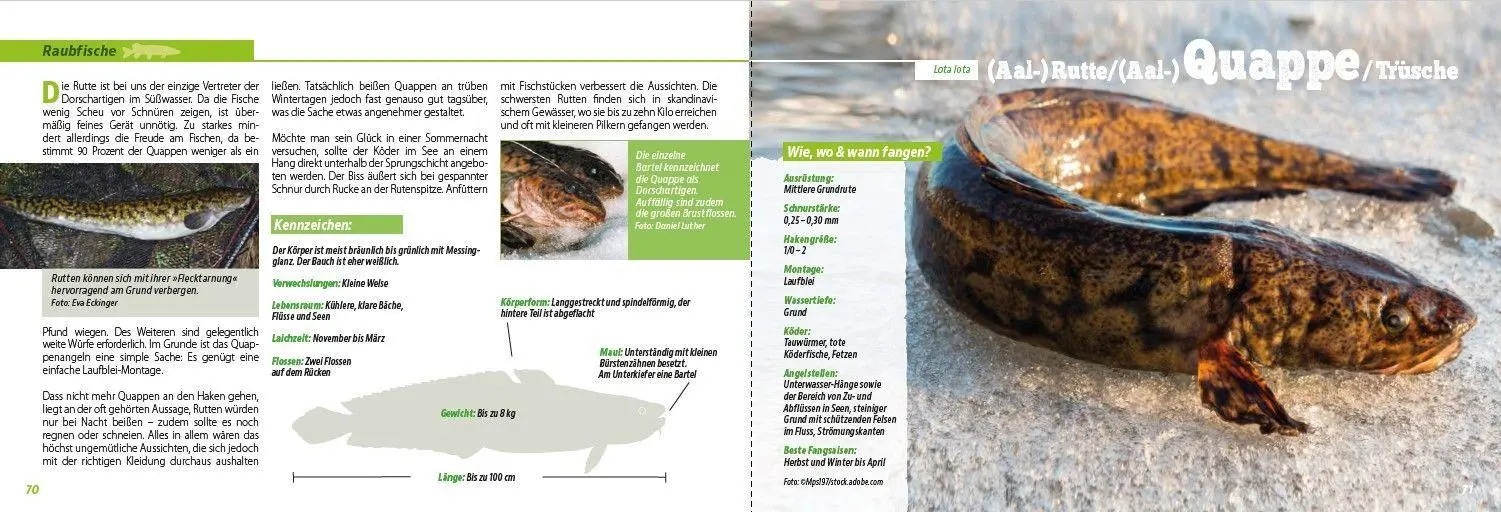 Bild: 9783275023776 | Angler-Lexikon der Süßwasserfische | Frank Weissert | Taschenbuch