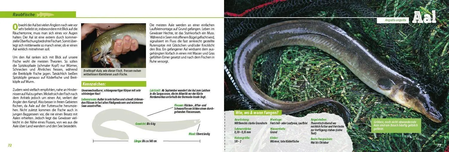 Bild: 9783275023776 | Angler-Lexikon der Süßwasserfische | Frank Weissert | Taschenbuch