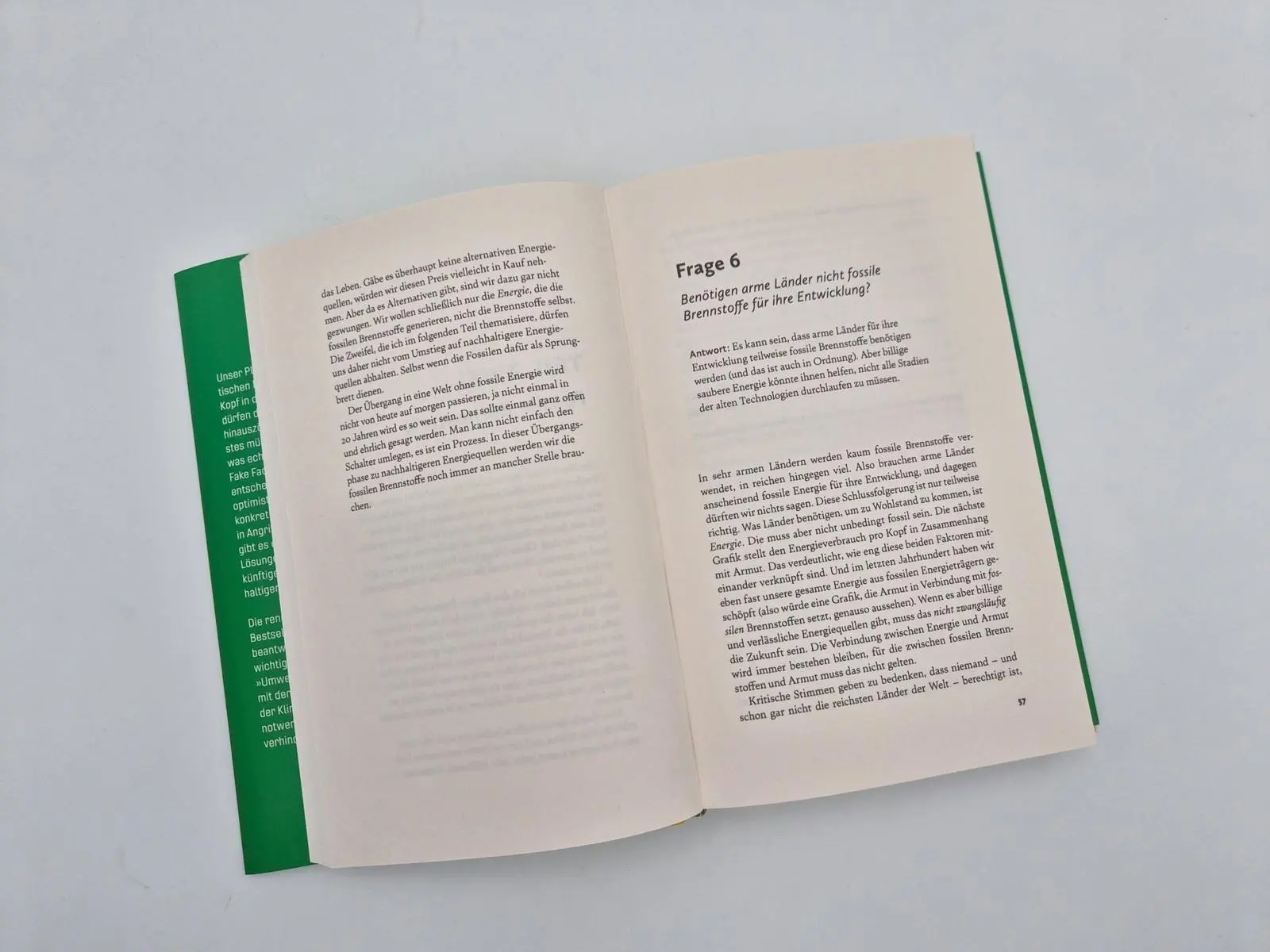 Bild: 9783492073776 | Keine Ausreden mehr! | Hannah Ritchie | Buch | 352 S. | Deutsch | 2026