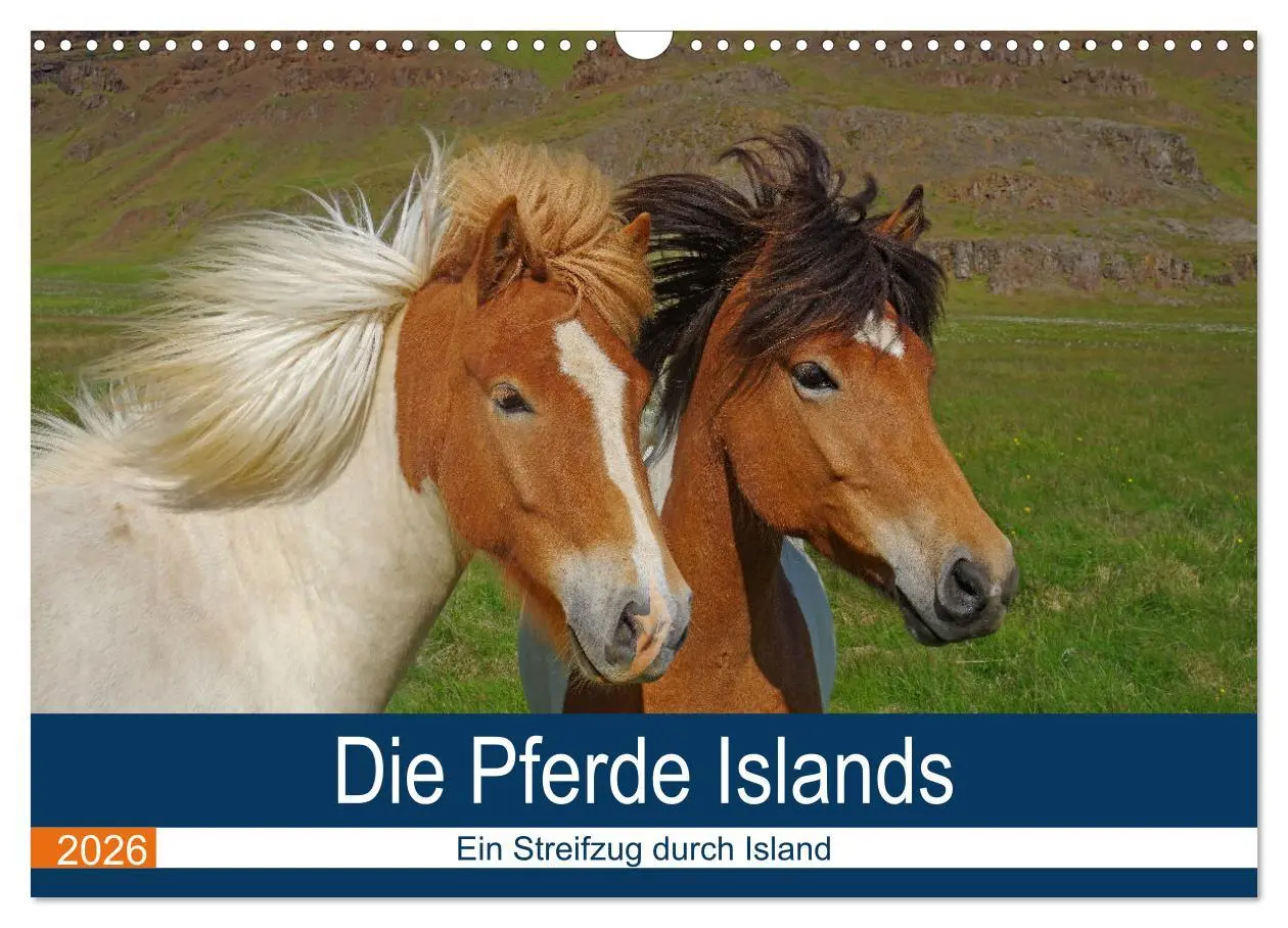 Cover: 9783516063776 | Die Pferde Islands - Ein Streifzug durch Island (Wandkalender 2026...