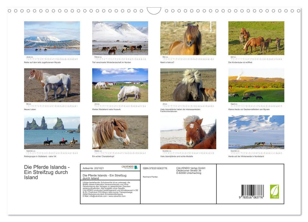 Bild: 9783516063776 | Die Pferde Islands - Ein Streifzug durch Island (Wandkalender 2026...