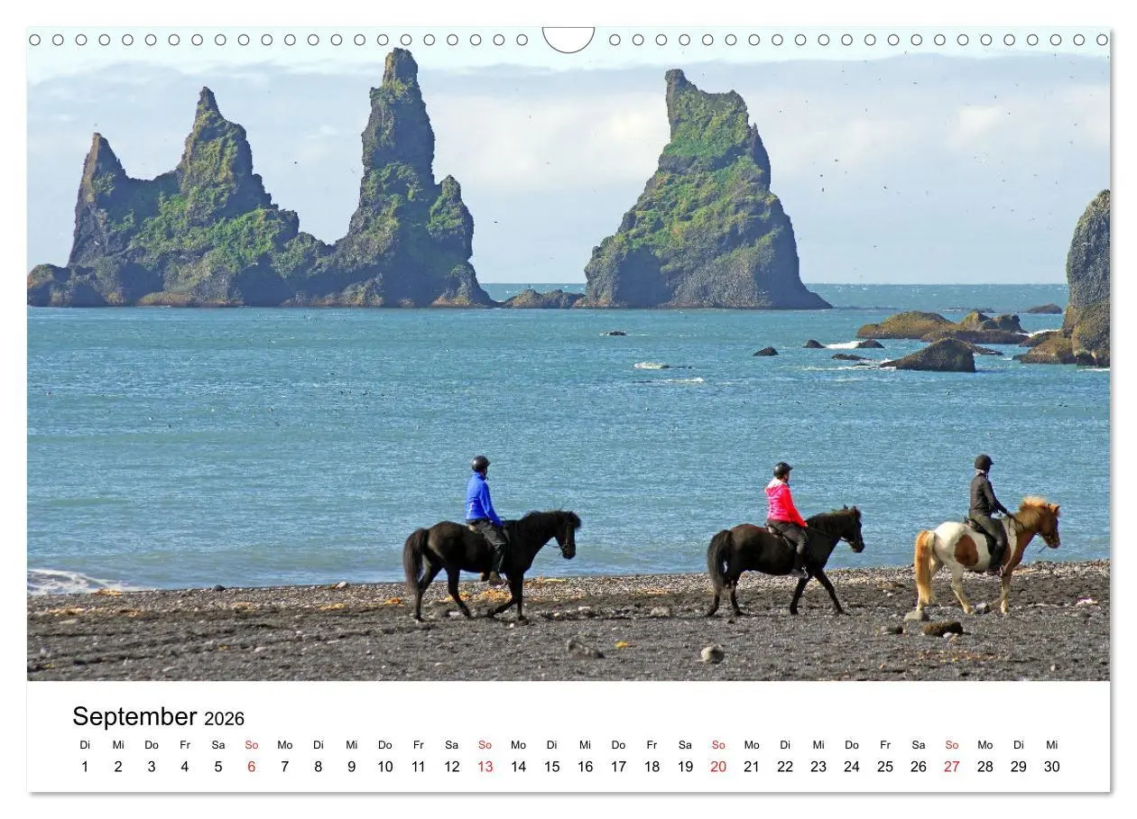Bild: 9783516063776 | Die Pferde Islands - Ein Streifzug durch Island (Wandkalender 2026...
