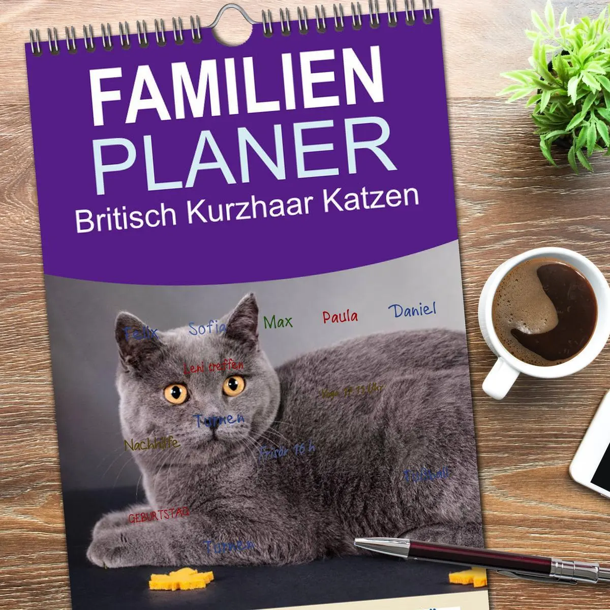 Bild: 9783516513776 | Familienplaner 2026 - Britisch Kurzhaar Katzen mit 5 Spalten...