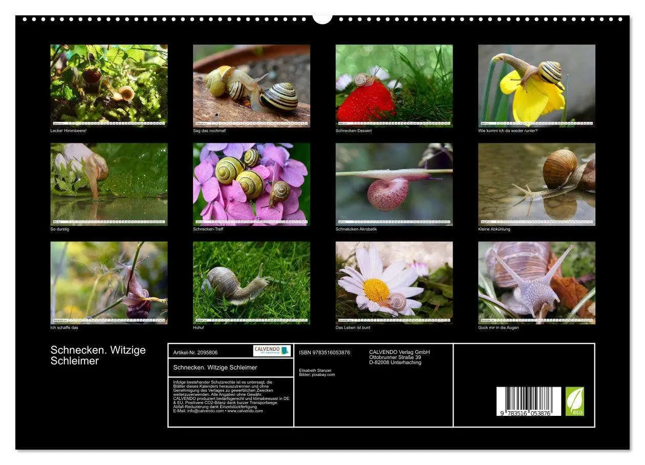 Bild: 9783516053876 | Schnecken. Witzige Schleimer (hochwertiger Premium Wandkalender...