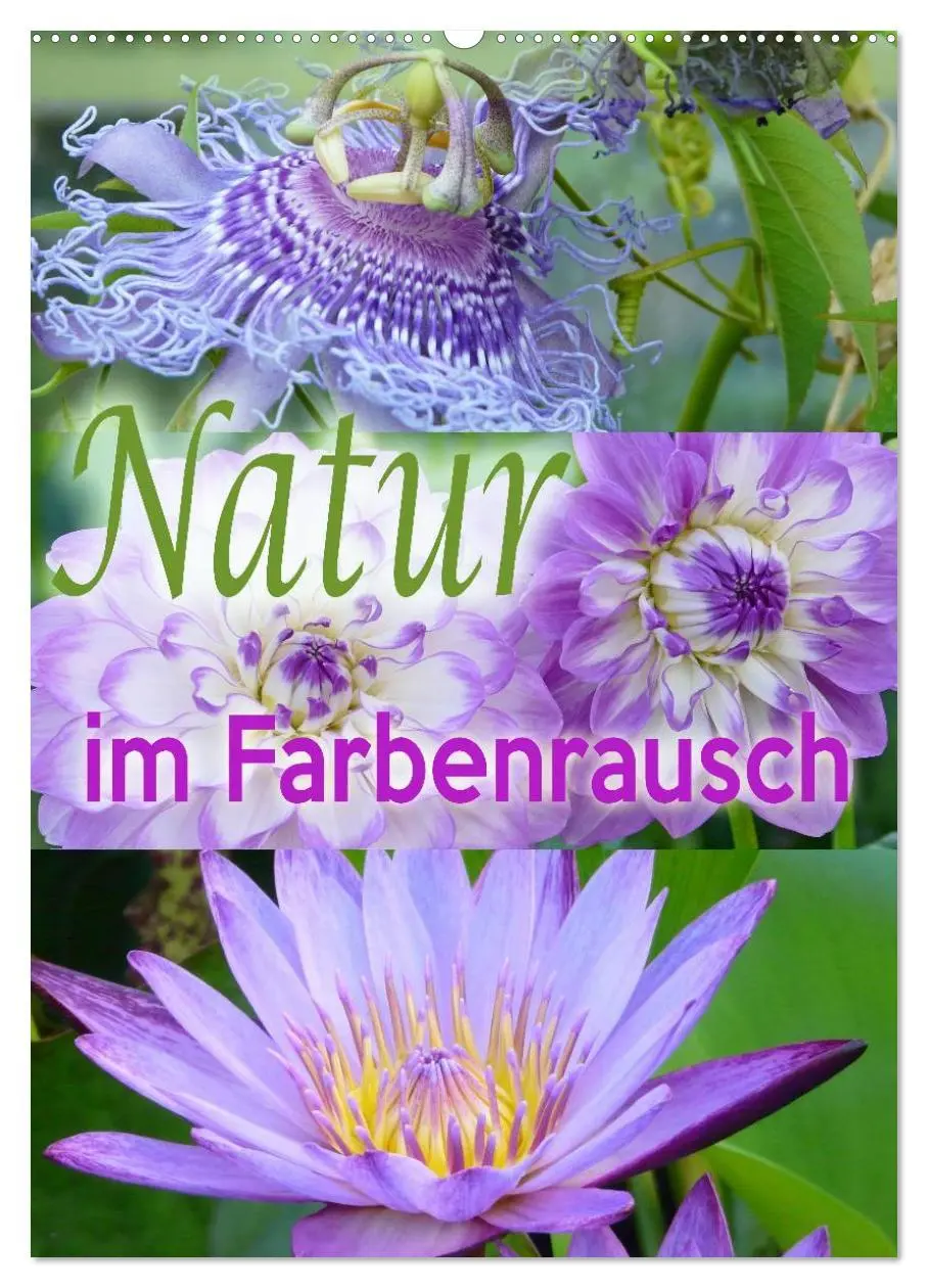 Cover: 9783516433876 | Natur im Farbenrausch (Wandkalender 2026 DIN A2 hoch), CALVENDO...