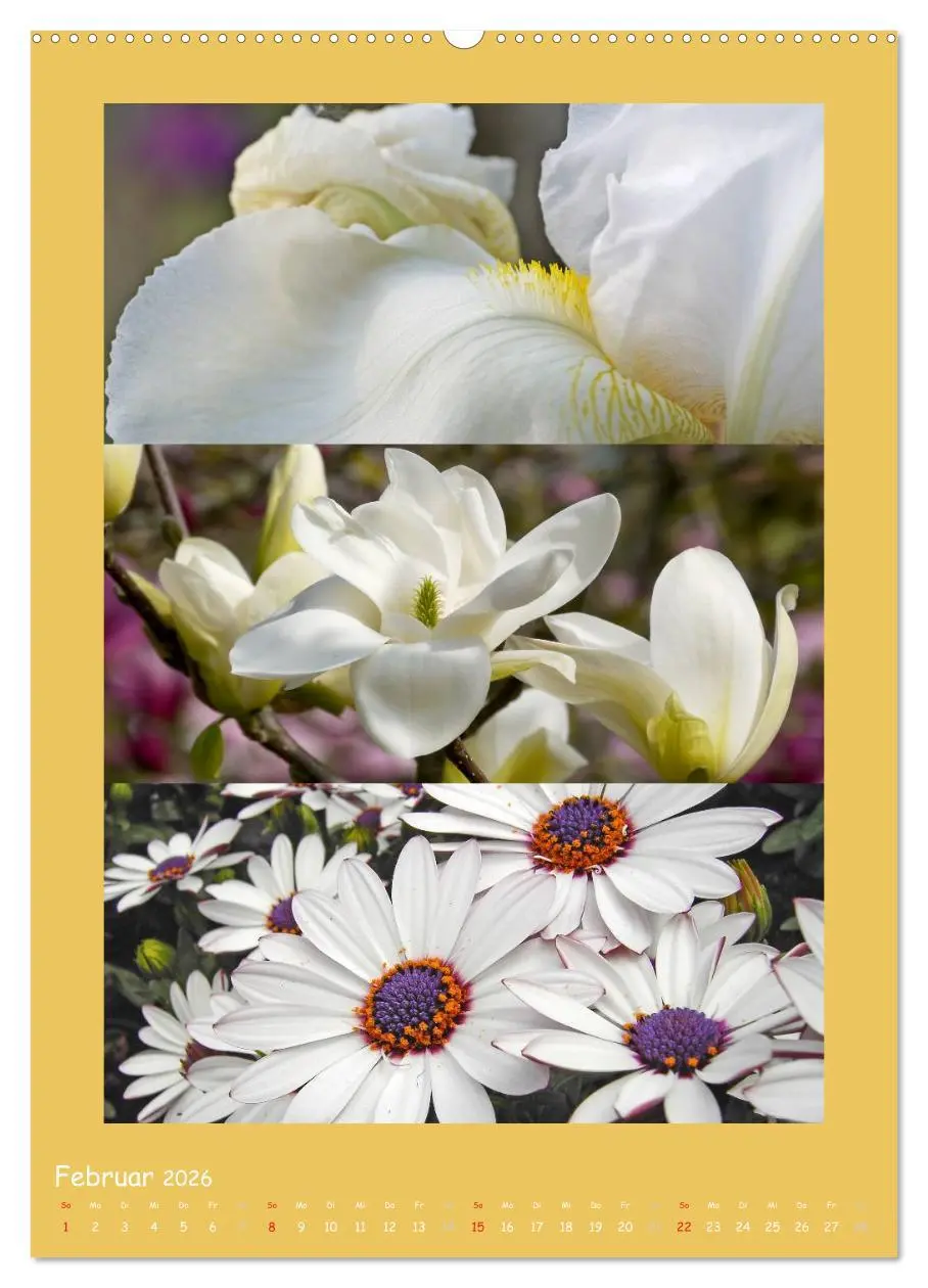 Bild: 9783516433876 | Natur im Farbenrausch (Wandkalender 2026 DIN A2 hoch), CALVENDO...