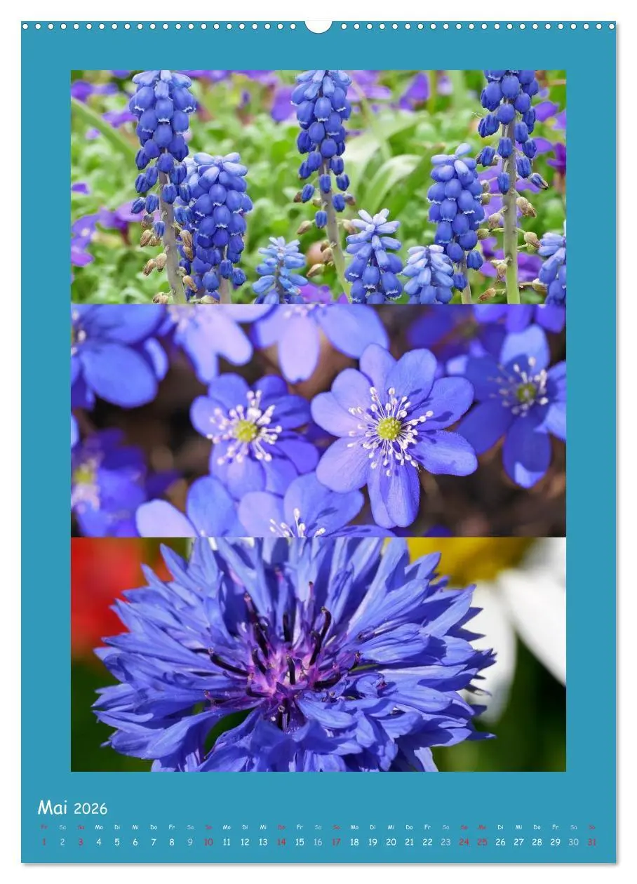 Bild: 9783516433876 | Natur im Farbenrausch (Wandkalender 2026 DIN A2 hoch), CALVENDO...