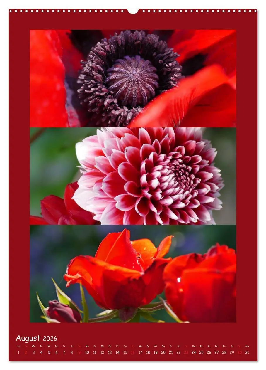 Bild: 9783516433876 | Natur im Farbenrausch (Wandkalender 2026 DIN A2 hoch), CALVENDO...