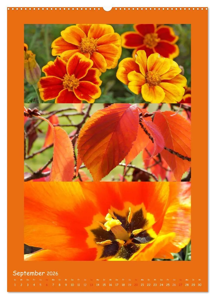 Bild: 9783516433876 | Natur im Farbenrausch (Wandkalender 2026 DIN A2 hoch), CALVENDO...