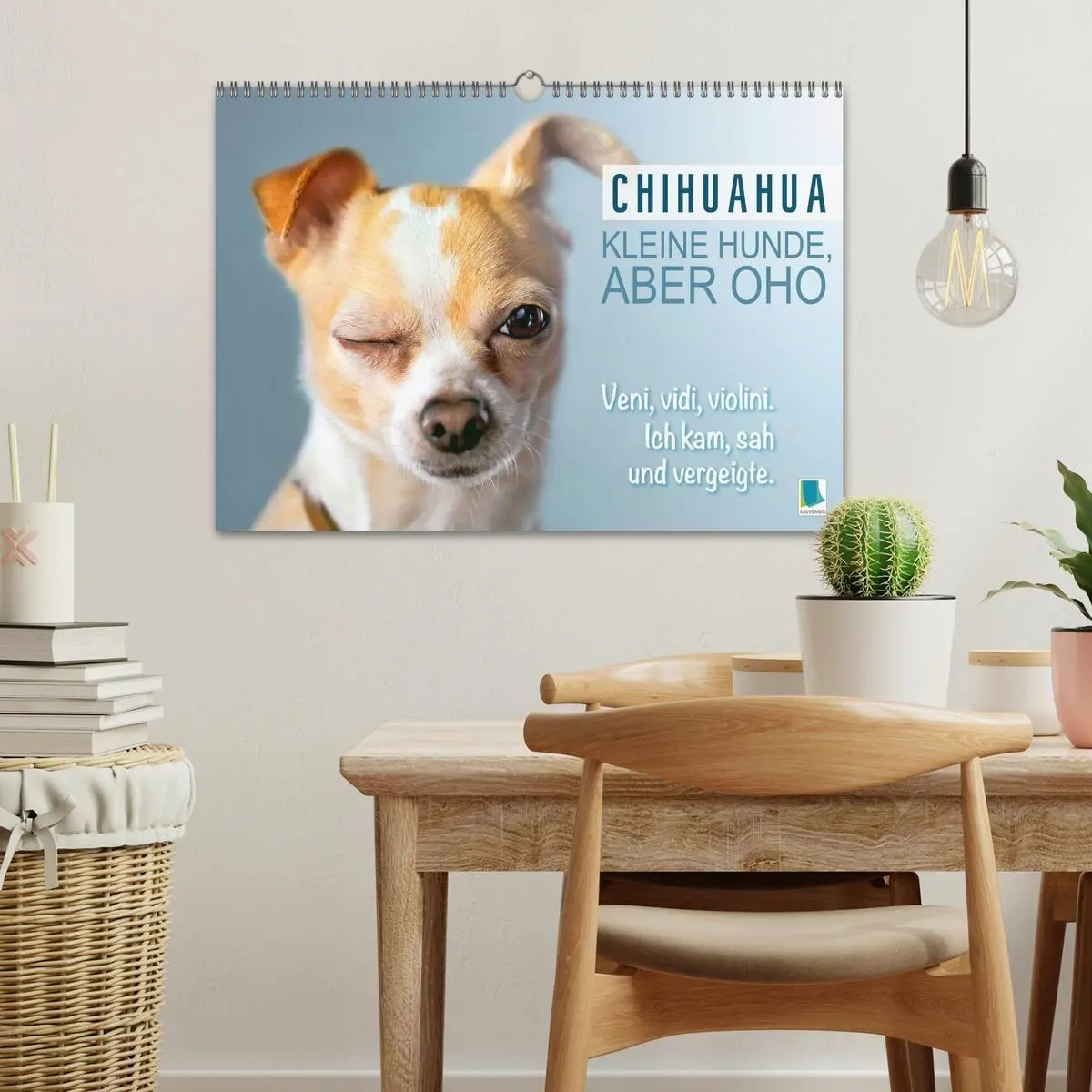 Bild: 9783516673876 | Chihuahua: Kleine Hunde, aber oho (Wandkalender 2026 DIN A3 quer),...