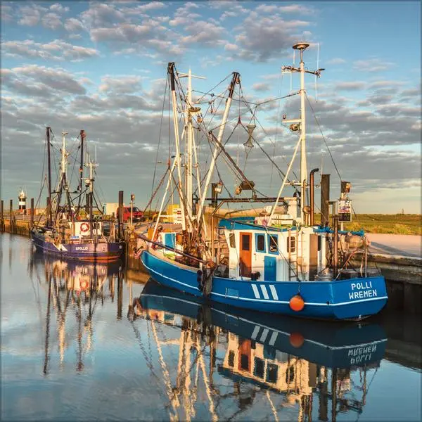 Bild: 9783731883876 | Meerblicke - Nord- und Ostsee 2026 | Verlag Korsch | Kalender | 13 S.