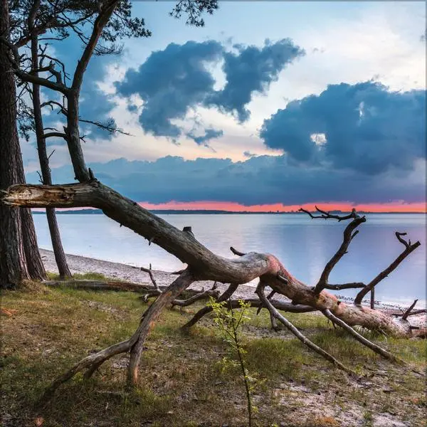 Bild: 9783731883876 | Meerblicke - Nord- und Ostsee 2026 | Verlag Korsch | Kalender | 13 S.