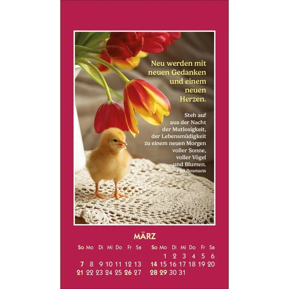 Bild: 9783754893876 | Gute Worte erhellen den Tag 2027 | Mini-Aufkleber-Kalender | Bosmans