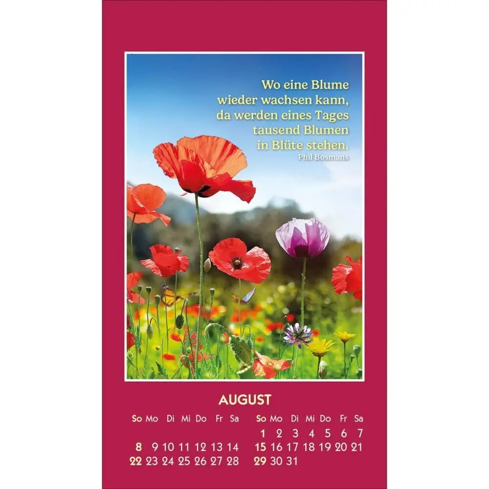 Bild: 9783754893876 | Gute Worte erhellen den Tag 2027 | Mini-Aufkleber-Kalender | Bosmans