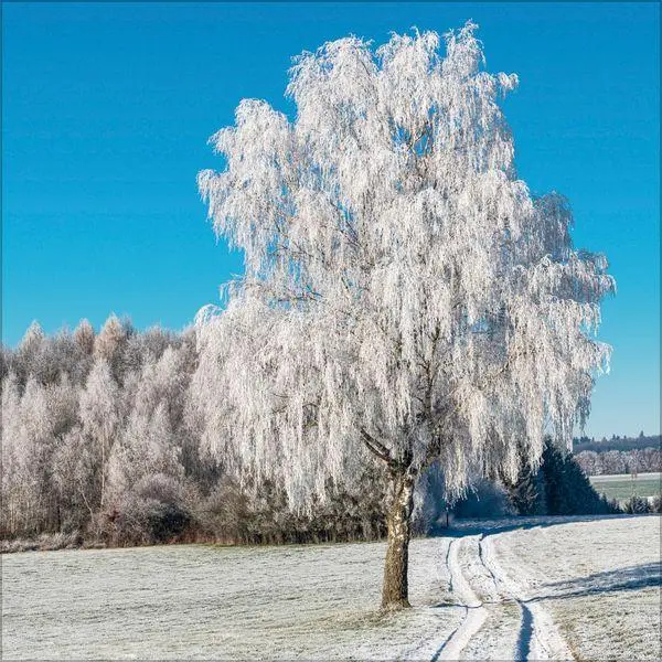Bild: 9783819303876 | Traumwege 2027 | Verlag Korsch | Kalender | 13 S. | Deutsch | 2027