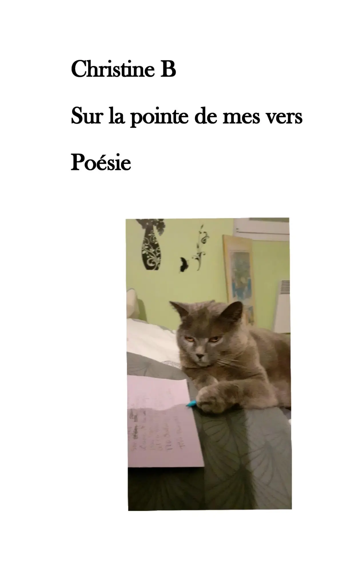 Cover: 9782322553976 | Sur la pointe de mes vers | Christine B | Taschenbuch | Französisch