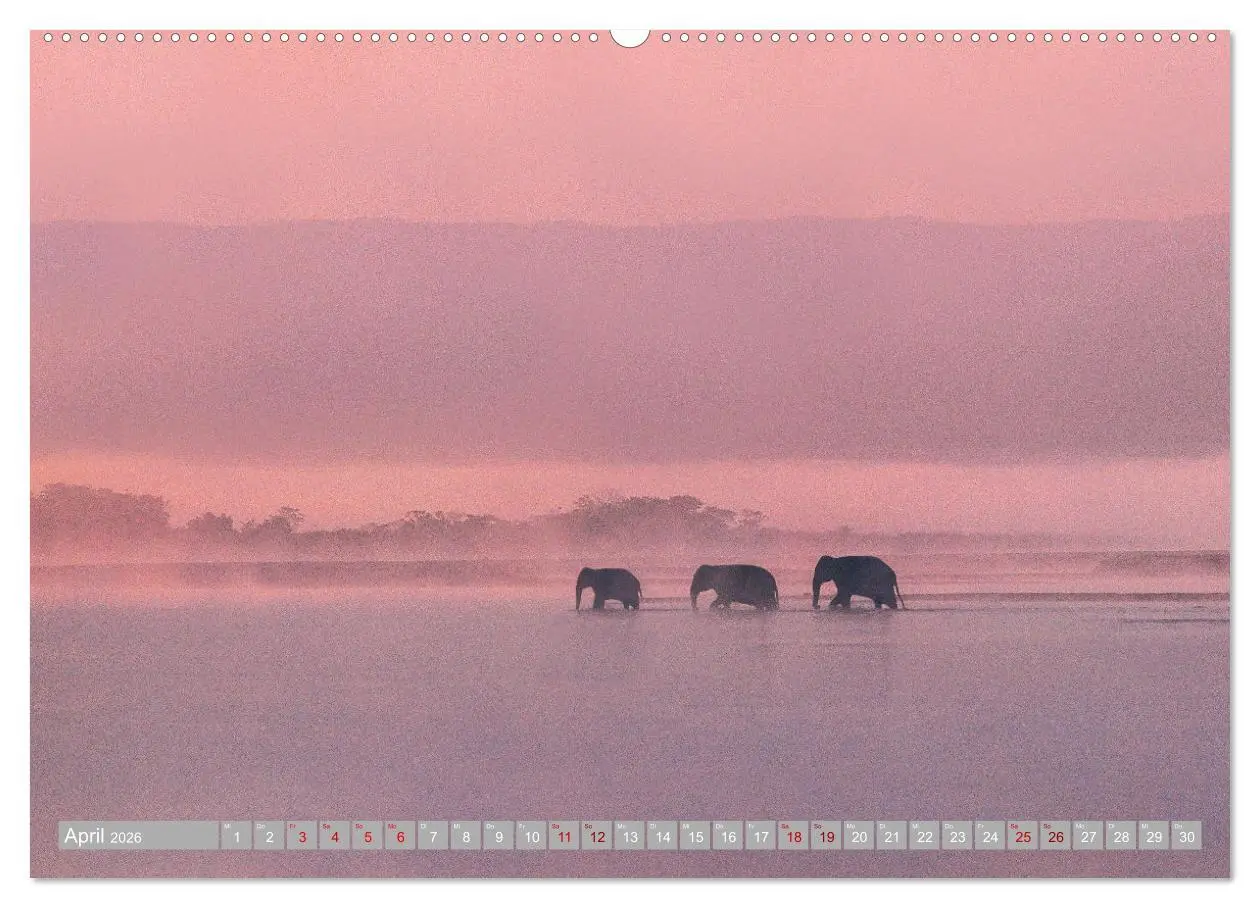 Bild: 9783457643976 | Spirit of Asia - Im Reich der guten Geister (Wandkalender 2026 DIN...