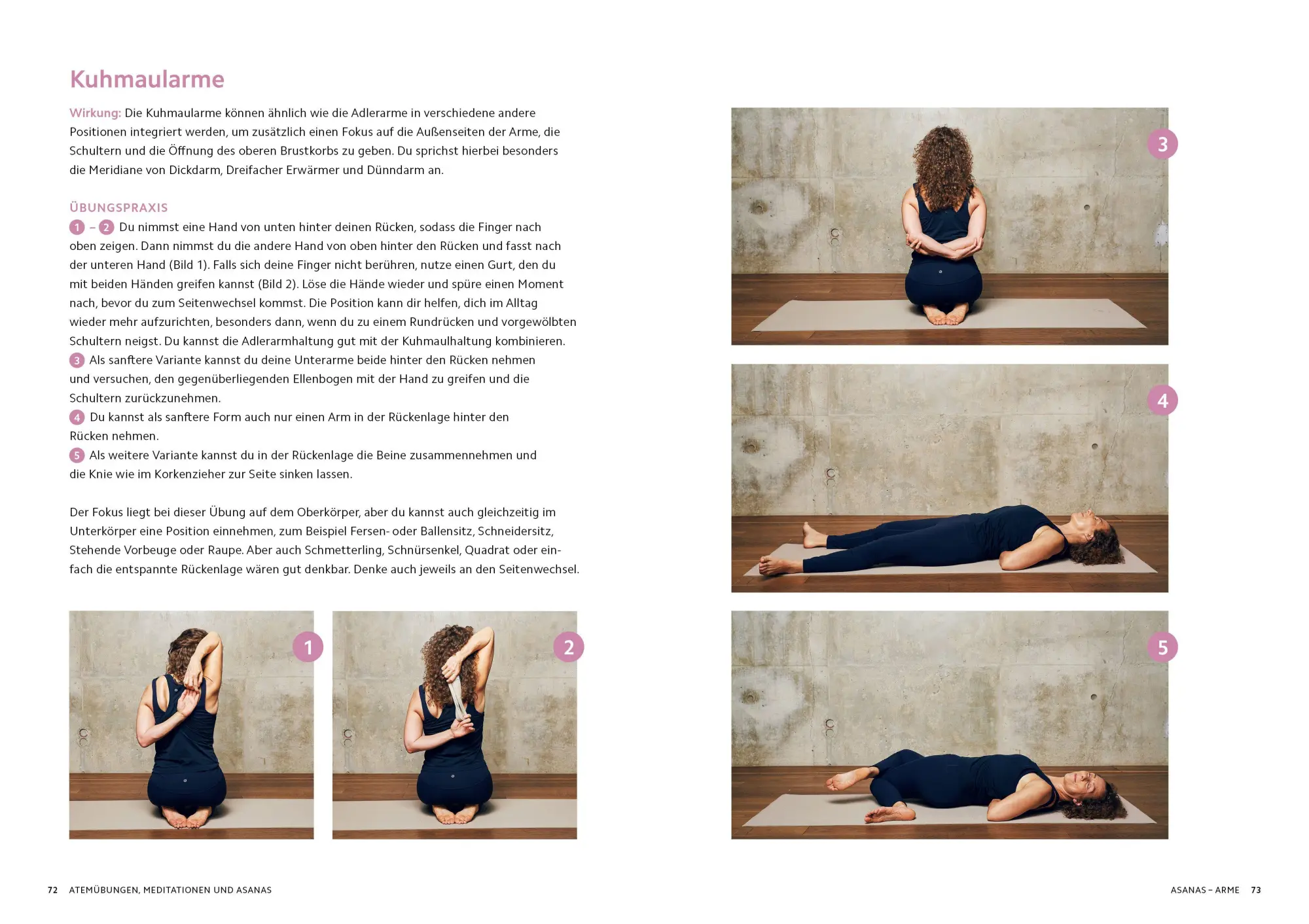 Bild: 9783517103976 | Hormone in Balance mit Yin Yoga | Stefanie Arend | Taschenbuch | 2026