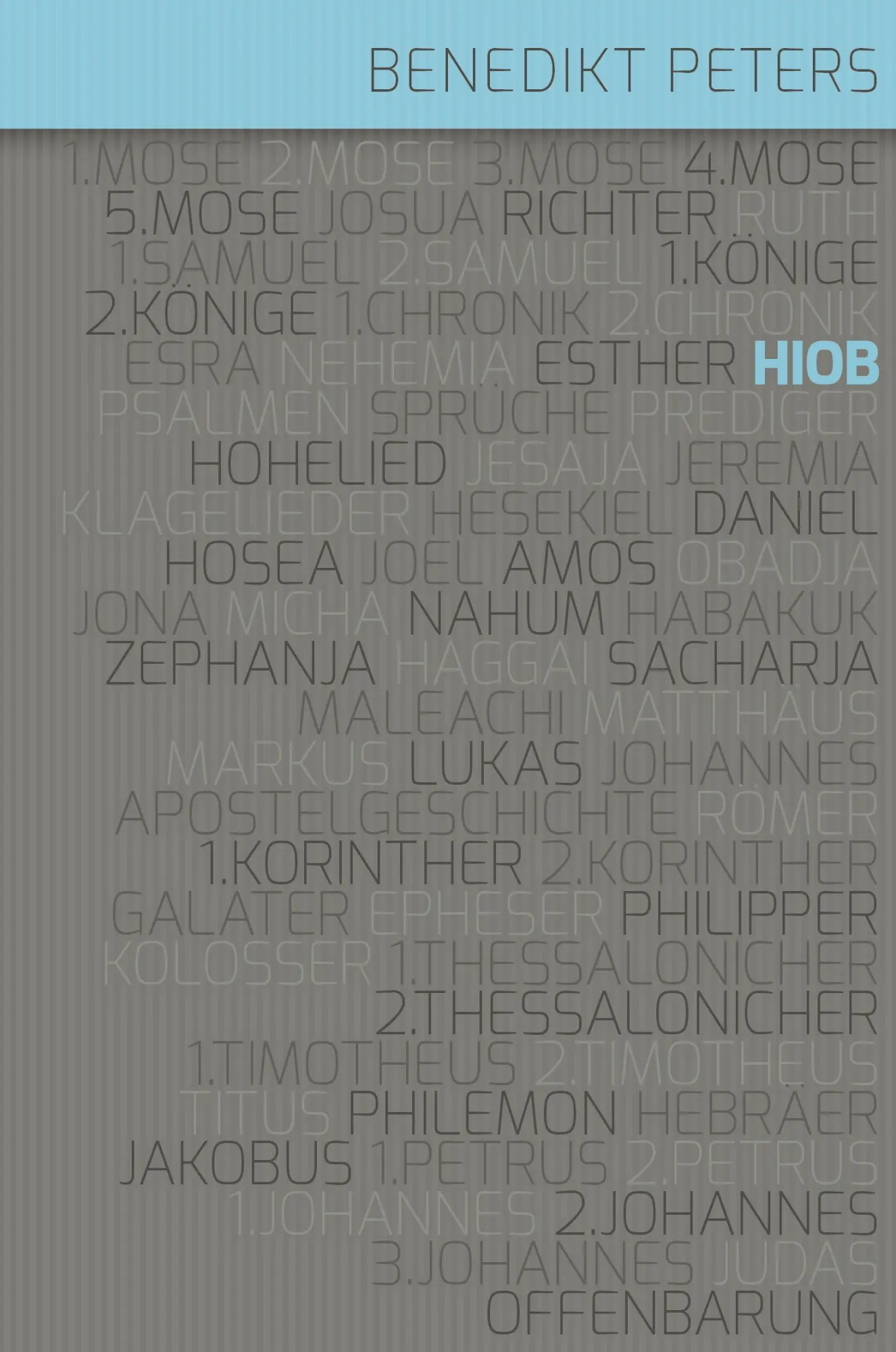 Cover: 9783866993976 | Das Buch Hiob | Benedikt Peters | Buch | 416 S. | Deutsch | 2020