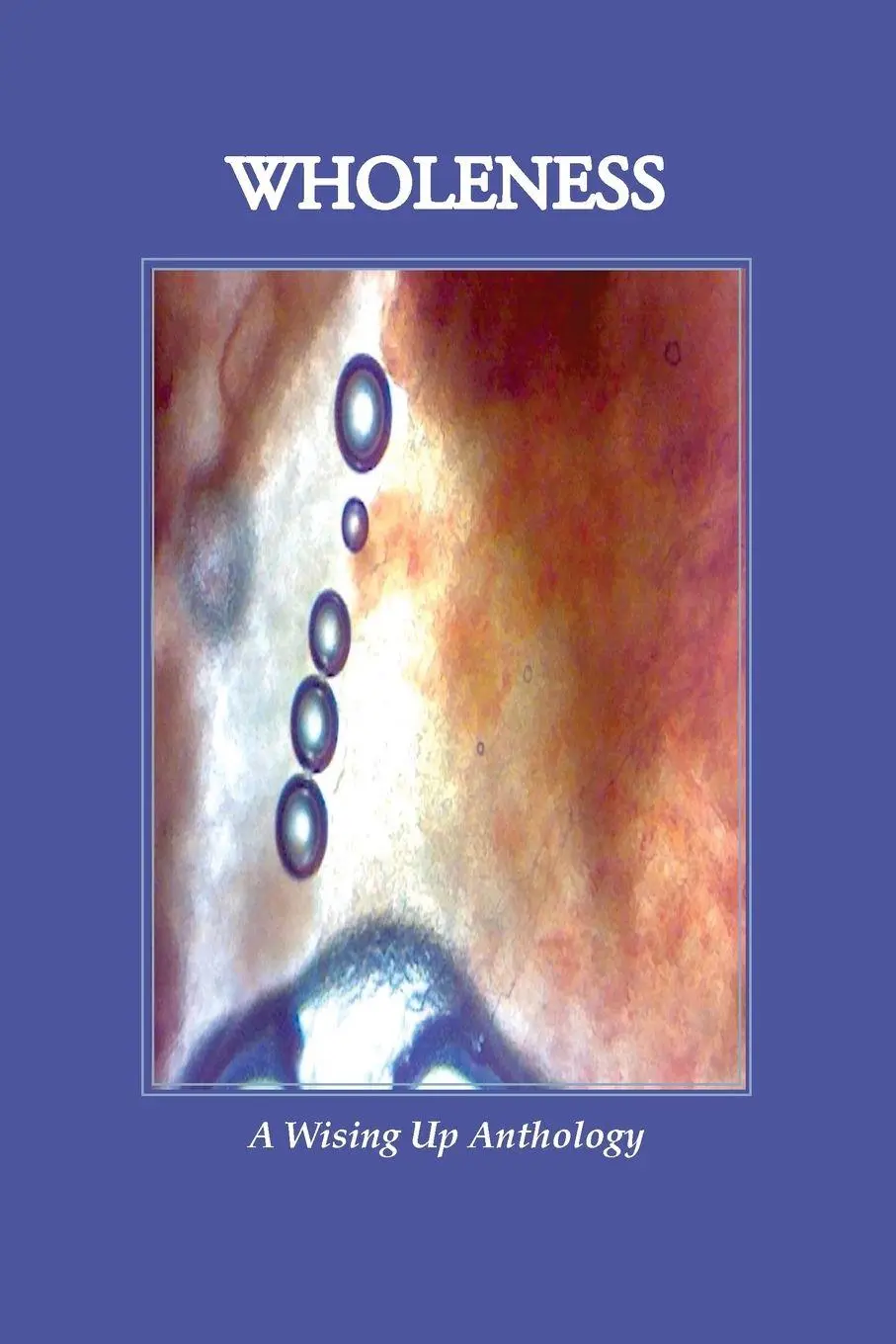Cover: 9781737694076 | WHOLENESS, A Wising Up Anthology | Heather Tosteson (u. a.) | Buch