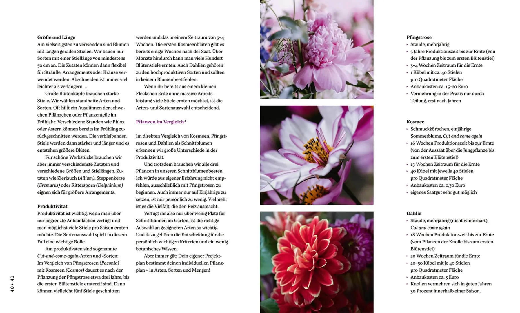Bild: 9783258084176 | Nachhaltige Schnittblumen | Slowflowers - vom Anbau bis zum Verkauf