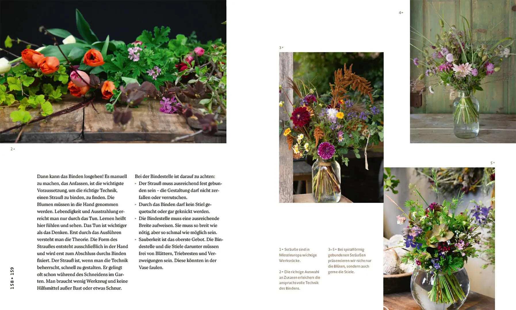 Bild: 9783258084176 | Nachhaltige Schnittblumen | Slowflowers - vom Anbau bis zum Verkauf
