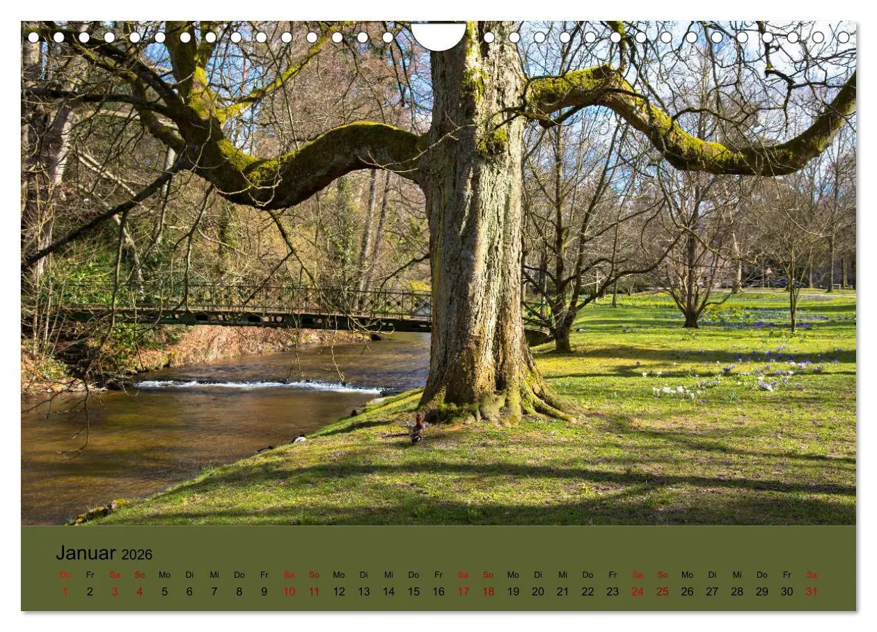 Bild: 9783457834176 | Kurpark Baden-Baden (Wandkalender 2026 DIN A4 quer), CALVENDO...