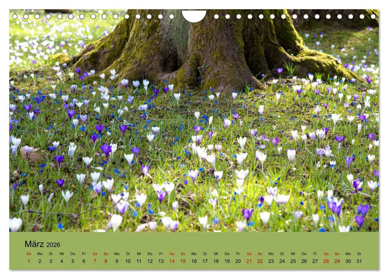 Bild: 9783457834176 | Kurpark Baden-Baden (Wandkalender 2026 DIN A4 quer), CALVENDO...