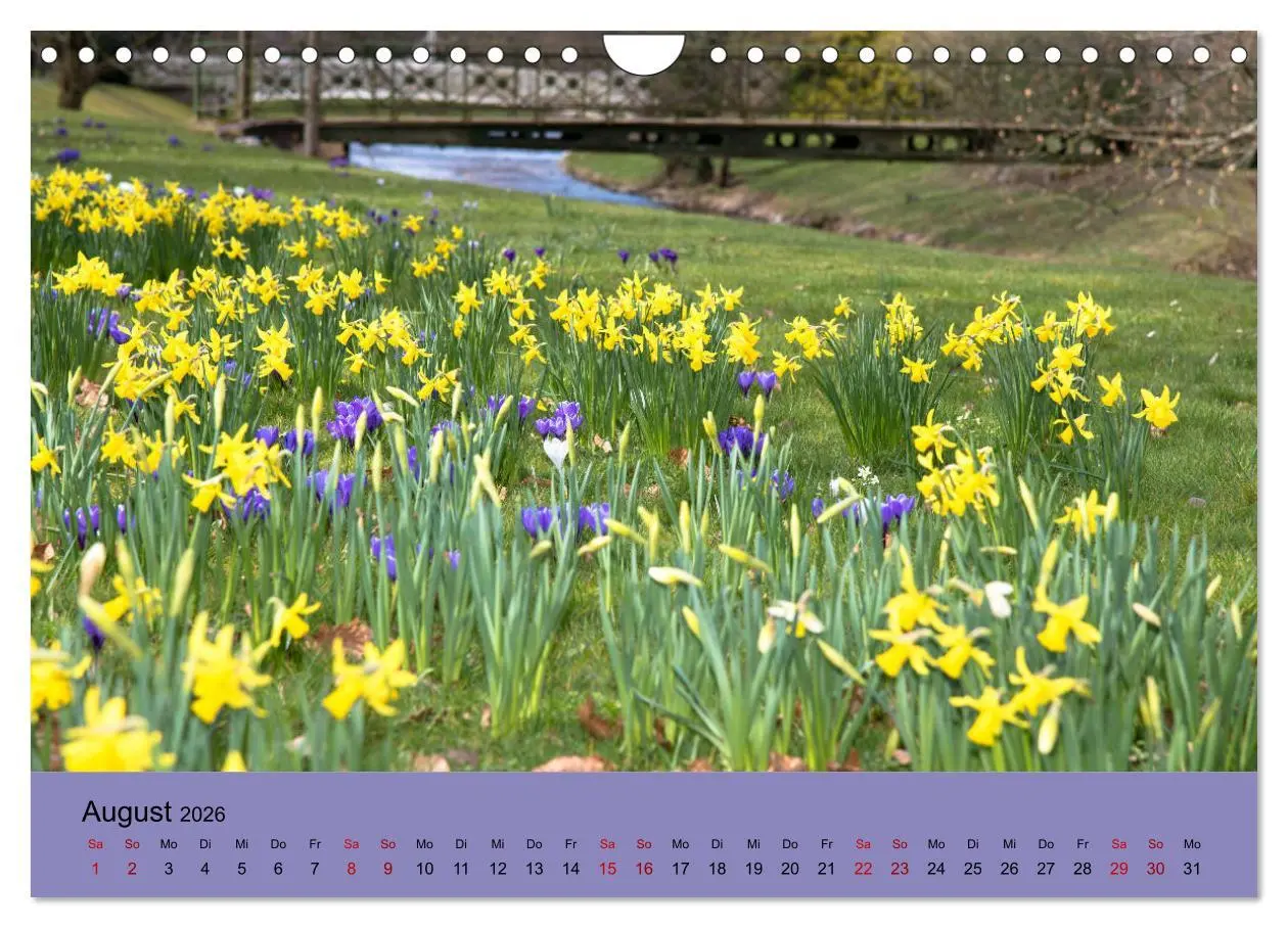 Bild: 9783457834176 | Kurpark Baden-Baden (Wandkalender 2026 DIN A4 quer), CALVENDO...