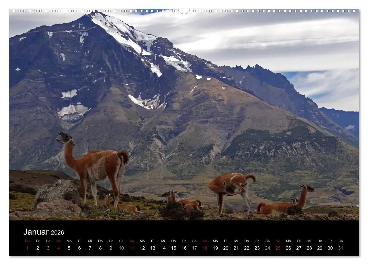 Bild: 9783516164176 | Im Nationalpark Torres del Paine (Chile) (hochwertiger Premium...
