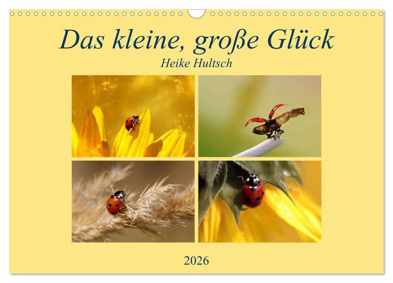 Cover: 9783516234176 | Das kleine, große Glück (Wandkalender 2026 DIN A3 quer), CALVENDO...