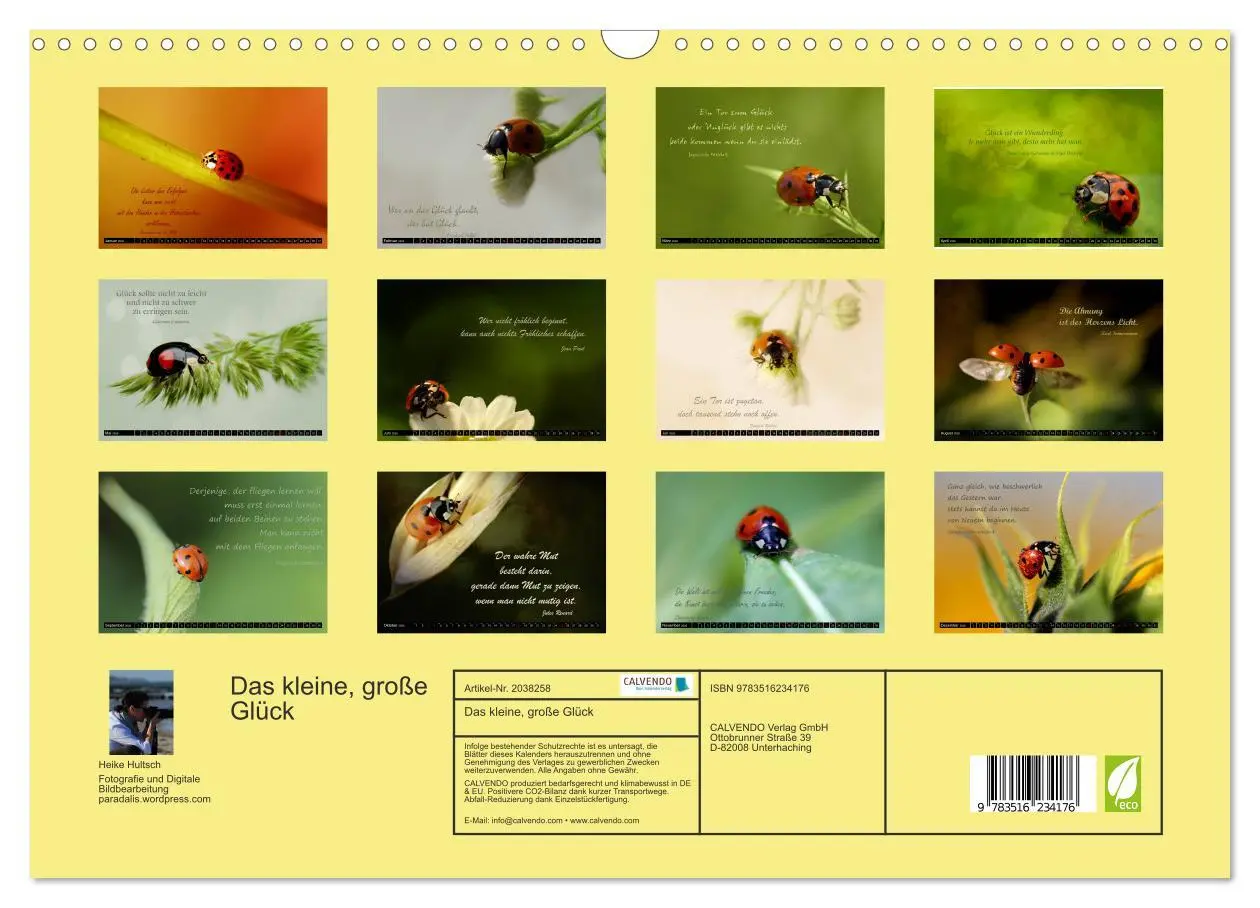 Bild: 9783516234176 | Das kleine, große Glück (Wandkalender 2026 DIN A3 quer), CALVENDO...